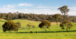 Hobby Farms