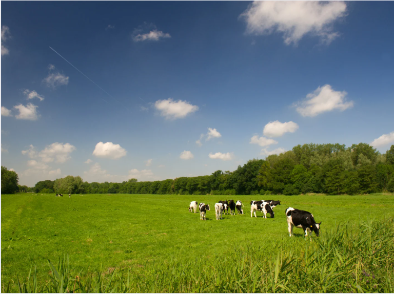 Buy Farmland Victoria