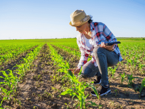 farmer loan