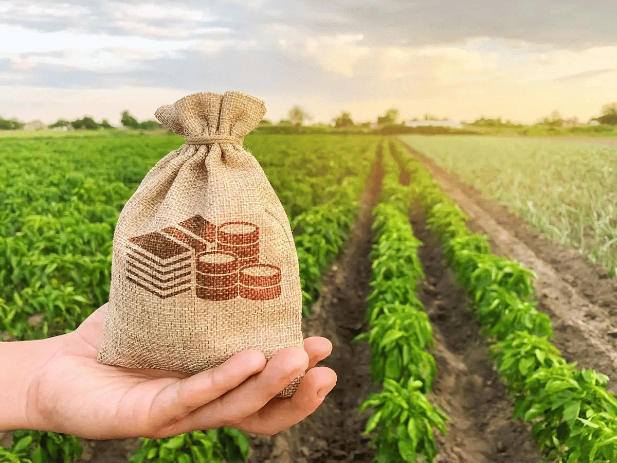 rural financing