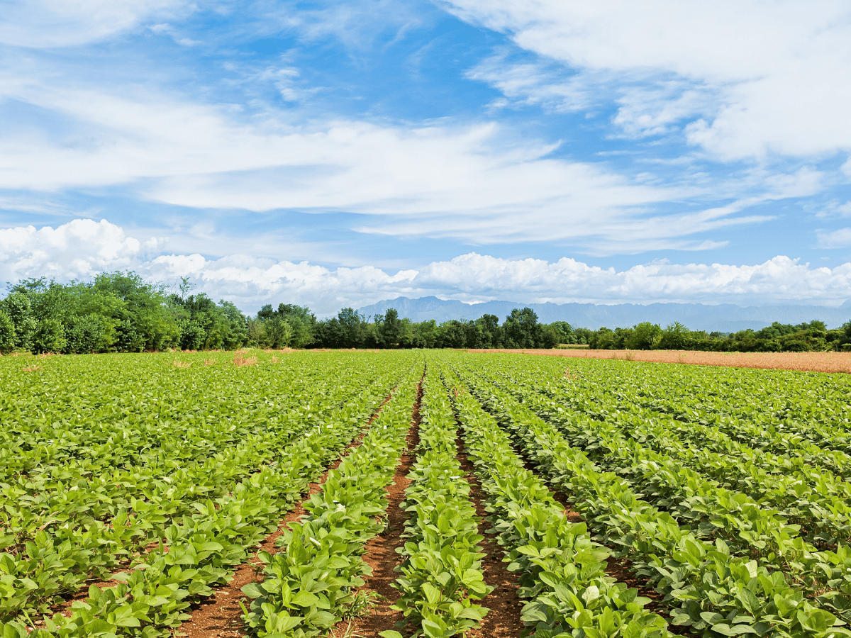 Finance for agriculture