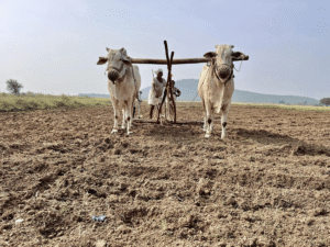farm lending