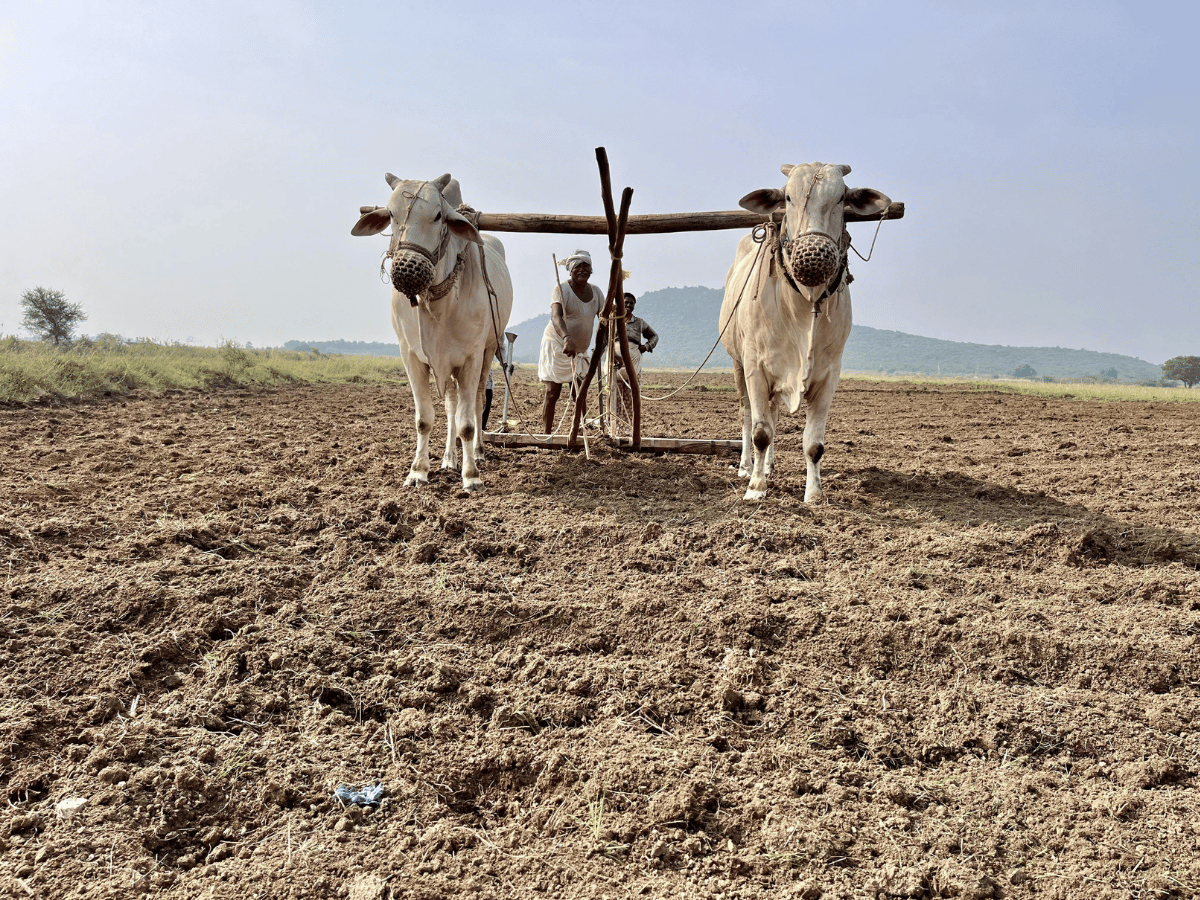 farm lending