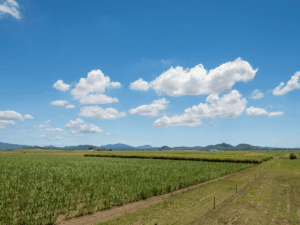 Small acreage