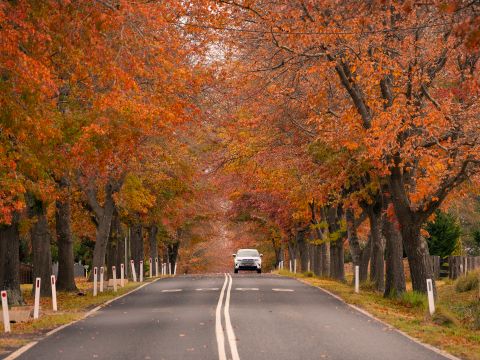 Tenterfield Agricultural Loans