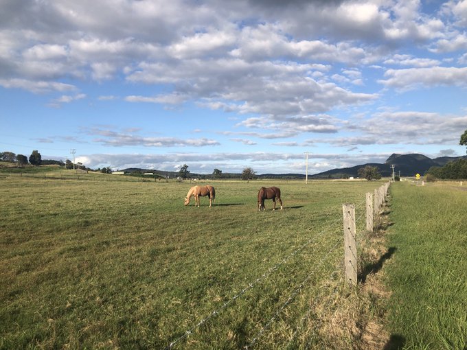 Cessnock Agricultural Loans