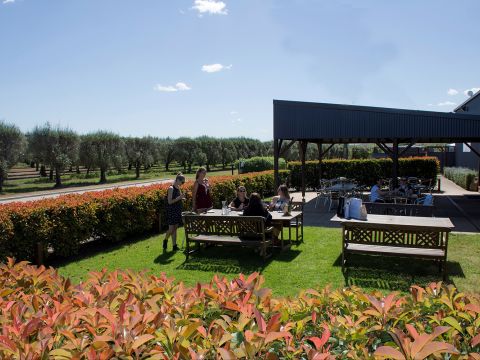 Muswellbrook Agricultural Loans