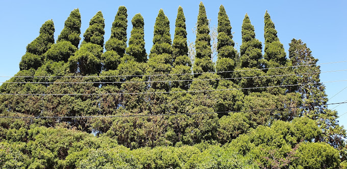 Burradoo Agricultural Loans